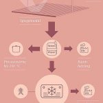 RZ_Infografik_Solarenergie_Final_176x260