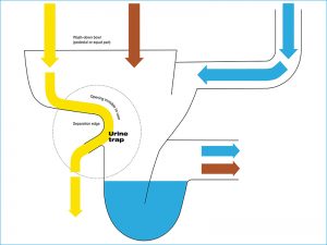 Der Querschnitt zeigt, wie der Urin mittels des Trenn-WCs separiert werden und schon im Gebäude nach dem Vuna-Verfahren zu Dünger aufbereitet werden kann. Grafik: Vuna