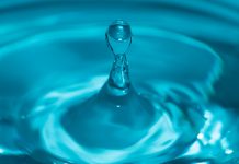 Foto: Lukas Spitaler/ Unsplash