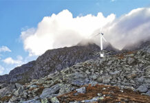 Testanlage einer Kleinwindenergieanlage mit bifazialen, photovoltaischen Solarblättern. Foto: zvg