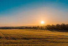 Wenn es abends eine Stunde länger hell ist, wird weniger künstliches Licht benötigt. Foto: Frederico Respini
