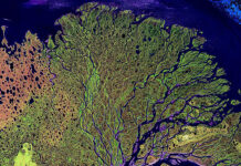Ein Satellitenbild des sibirischen Lena-Deltas, das in den Arktischen Ozean mündet. Foto : NASA