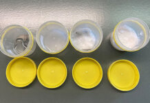 Cyclodextrin-Gele als Adsorbermaterial umschließen die giftigen Holzschutzmittel und kapseln sie vollständig ein. Foto: Fraunhofer IBP