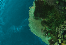 Neues EcoTech-Produktlabel von Siemens schafft branchenführende Transparenz bei Nachhaltigkeit. Foto: zvg