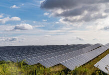 Die Materialien in PV-Modulen sind viel zu wertvoll, um sie einfach wegzuwerfen. Mit dem Hochlauf der Photovoltaik werden neue, zirkuläre Recycling-Strategien benötigt. Foto: Forschungszentrum Jülich / Sascha Kreklau