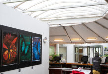 Im Rahmen des Projekts «Papiliorama 2030» entschied sich die Stiftung für die Modernisierung des Komplexes, einschliesslich des alten Oberlichts über der Cafeteria, des Ticketschalters und des Ausstellungsraums. Foto: zvg