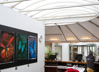 Im Rahmen des Projekts «Papiliorama 2030» entschied sich die Stiftung für die Modernisierung des Komplexes, einschliesslich des alten Oberlichts über der Cafeteria, des Ticketschalters und des Ausstellungsraums. Foto: zvg