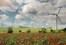 Der Windpark Eolo in Apulien gehört zu HelveticWind. Foto: zvg