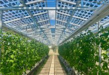 Energie 360° baut gemeinsam mit ihrem Partner Insolight in Leuggern (AG) eine landwirtschaftliche Solaranlage. Foto: zvg