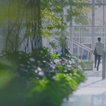 Whitepaper