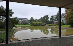 Der Albert Steiner-Garten aus der ersten Bauetappe des Campus Hoenggerberg wird bestehen bleiben. Foto: Manuel Pestalozzi