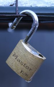 Auch die Welt der Sicherheit steht nicht still. Um das fachliche Know-how zu aktualisieren ist es wichtig, am Puls der Zeit zu bleiben. Foto: Pixabay/Bluebudgie