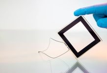 Gedruckte Solarzellen von «Perovskia Solar», eines der Empa-Spin-offs an der CES 2026 in Las Vegas: Die massgefertigten Solarzellen des Spin-offs lassen sich in fast alle elektronische Geräte und Sensoren integrieren. Foto: Perovskia Solar