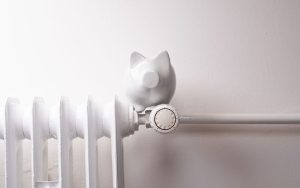 Seit dem 3. November 2025 können Gesuche für Programme und Projekte für die Ausschreibungen 2026 eingereicht werden. Foto: AdobeStock