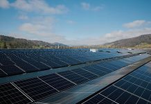 Die grösste Solaranlage im Kanton Zürich besteht aus rund 9500 Modulen mit einer kumulierten Leistung von bis zu 4,5 Megawatt. Foto: EKZ/Cheryl Zurbriggen