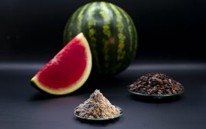 Die Forschenden nutzen ein Enzym, das sie aus den Kernen von Wassermelonen gewinnen, um die Kristallisation des Struvits in einer wässrigen Suspension mit Sägemehl zu kontrollieren. Foto: Ronny Kürsteiner / aus R Kürsteiner et al. Chem Circularity 2026, CC BY 4.0