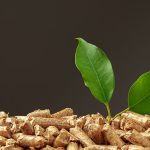 Wood pellets biofuel pile on gray background