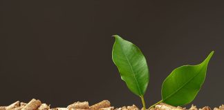 Biomethan macht die Energieversorgung unabhängiger Heimisches Biomethan kann die Schweiz unabhängiger machen. Foto: AdobeStock