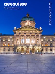 aee Jahresbericht 2025