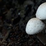 foridul-sifat-unsplash_w