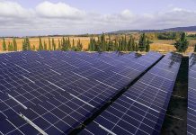 Urbasolar wird das Projekt streng überwachen und sicherstellen, dass es keine nachhaltigen Auswirkungen auf die lokale Umwelt gibt. Foto: Axpo