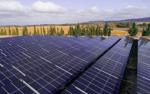 Urbasolar wird das Projekt streng überwachen und sicherstellen, dass es keine nachhaltigen Auswirkungen auf die lokale Umwelt gibt. Foto: Axpo