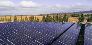 Urbasolar wird das Projekt streng überwachen und sicherstellen, dass es keine nachhaltigen Auswirkungen auf die lokale Umwelt gibt. Foto: Axpo