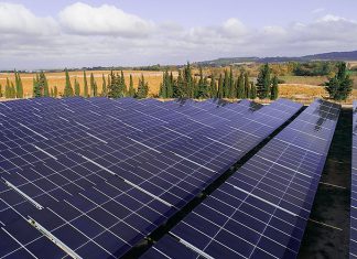 Urbasolar wird das Projekt streng überwachen und sicherstellen, dass es keine nachhaltigen Auswirkungen auf die lokale Umwelt gibt. Foto: Axpo