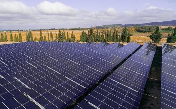 Urbasolar wird das Projekt streng überwachen und sicherstellen, dass es keine nachhaltigen Auswirkungen auf die lokale Umwelt gibt. Foto: Axpo