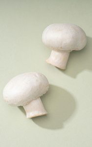 Mit dem in Wauwil produzierten Biogas wird ewl auch die Wauwiler Champignons AG beliefern. Foto: Rahul Himkar/Unsplash