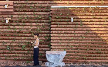 Eine ressourceneffiziente Fassadenbegrünung, die einen spürbaren Beitrag zur Lebensqualität in der Stadt leistet. Unter der Plastikabdeckung befindet sich die Technik für die Messungen. Foto: Cornelia Gassler