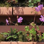 202607 GreenBrick Detail_w