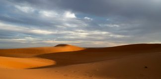 Wüstenstaub in Europa nimmt zu Feinstaub aus den Wüsten Nordafrikas gelangt in immer grösseren Mengen nach Europa. Foto: Dave Meckler/Unsplash