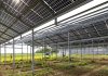 Mit einem ERC Proof of Concept Grant wird am Forschungszentrum Jülich eine neue Recyclingtechnologie für Solarmodule weiterentwickelt. Das Projekt CYBEX soll künftig helfen, wertvolle Rohstoffe wie Silber energieeffizient zurückzugewinnen und den Weg in die industrielle Anwendung ebnen. Foto: Forschungszentrum Jülich/Sascha Kreklau