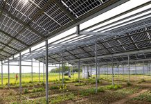 Wertvolle Rohstoffe aus alten Solarmodulen Mit einem ERC Proof of Concept Grant wird am Forschungszentrum Jülich eine neue Recyclingtechnologie für Solarmodule weiterentwickelt. Das Projekt CYBEX soll künftig helfen, wertvolle Rohstoffe wie Silber energieeffizient zurückzugewinnen und den Weg in die industrielle Anwendung ebnen. Foto: Forschungszentrum Jülich/Sascha Kreklau