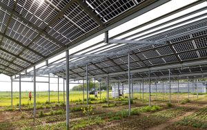 Mit einem ERC Proof of Concept Grant wird am Forschungszentrum Jülich eine neue Recyclingtechnologie für Solarmodule weiterentwickelt. Das Projekt CYBEX soll künftig helfen, wertvolle Rohstoffe wie Silber energieeffizient zurückzugewinnen und den Weg in die industrielle Anwendung ebnen. Foto: Forschungszentrum Jülich/Sascha Kreklau