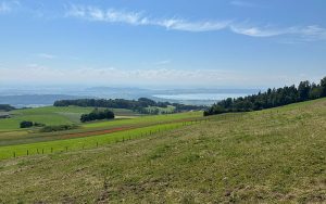 Beste Umwelt: Auf dem Chaumont im Kanton Neuenburg findet nahezu «naturnahe» Metallkorrosion statt. Ausgelagerte Metallproben rosten hier – im internationalen Vergleich – kaum. Foto: Empa