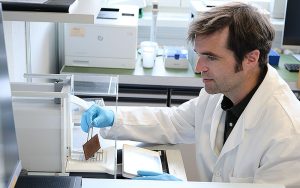 Korrosionsforscher Ulrik Hans unterzieht rostige Metallproben einem Säurebad. Foto: Empa