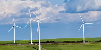 BKW baut Windportfolio in Deutschland aus Der Ausbau der erneuerbaren Stromproduktion ist ein zentraler Bestandteil der Strategie «BKW Solutions 2030». Foto: Abby Anaday/Unsplash
